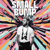 Small Bump - Full Cover cover